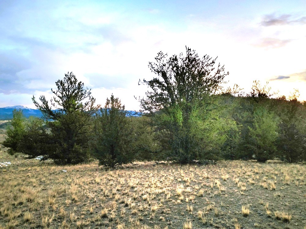 99 Hackney Lane Como CO 80432