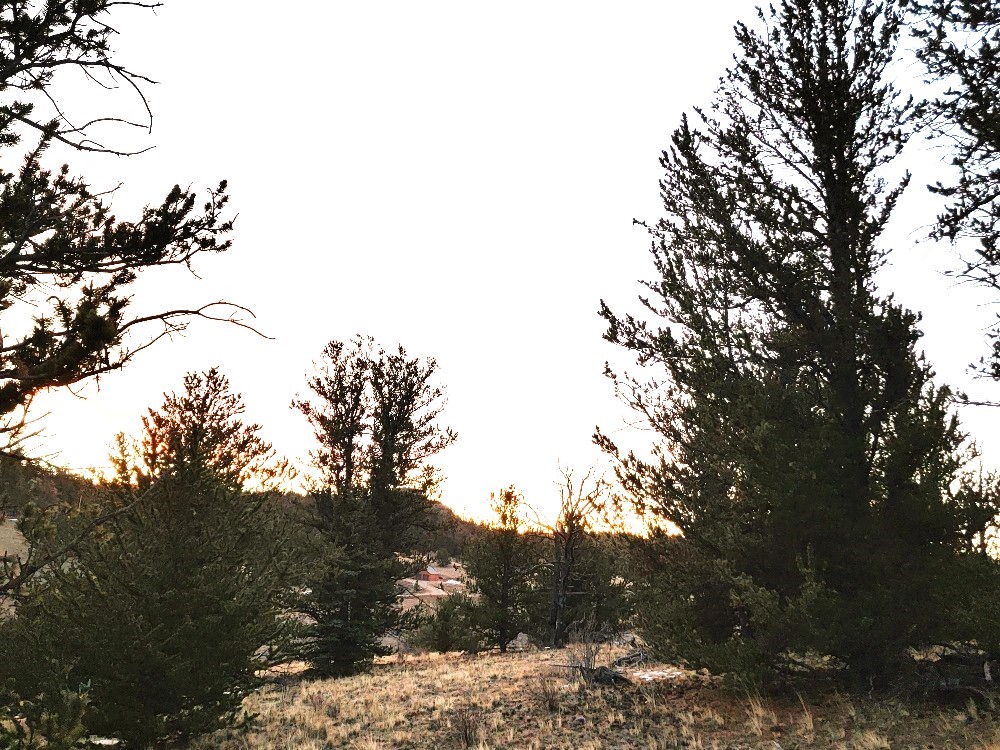 99 Hackney Lane Como CO 80432