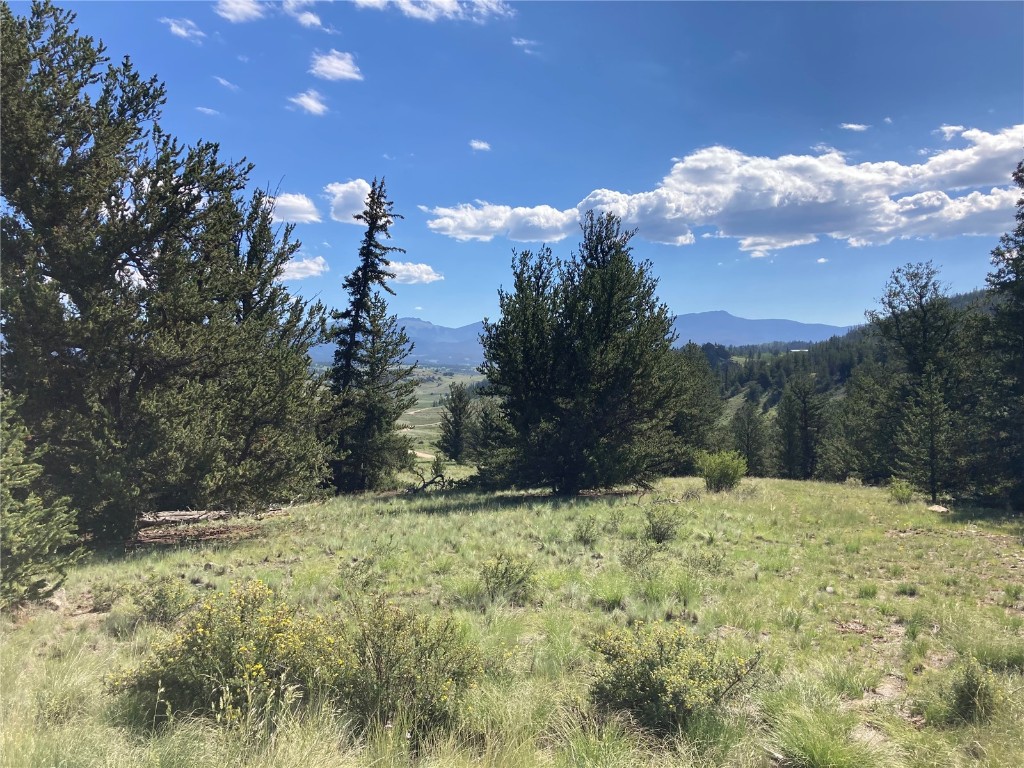 99 Hackney Lane Como CO 80432