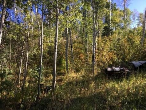 t/b/d Rcr 24 Road Steamboat Springs CO 80487