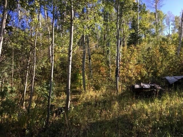T/b/d Rcr 24 Road Steamboat Springs CO 80487