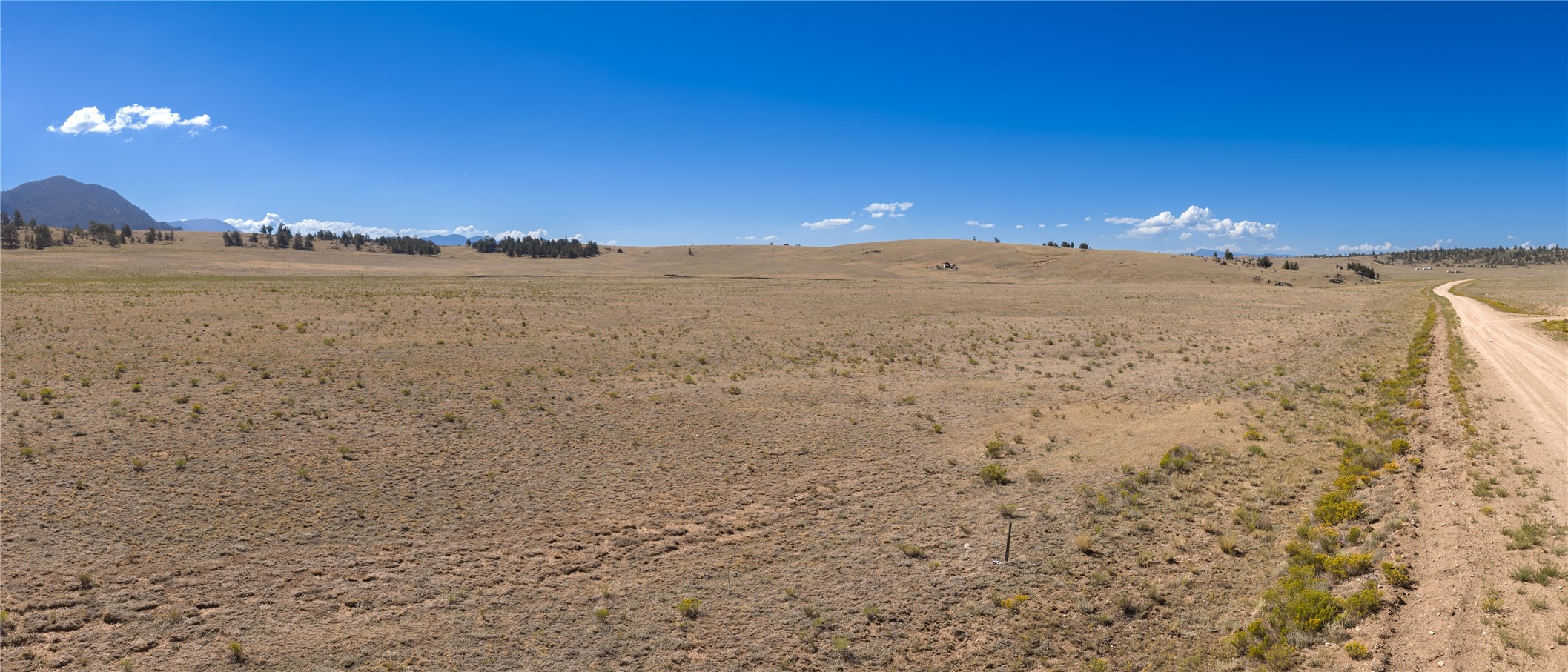 936 Ute Trace Hartsel CO 80449