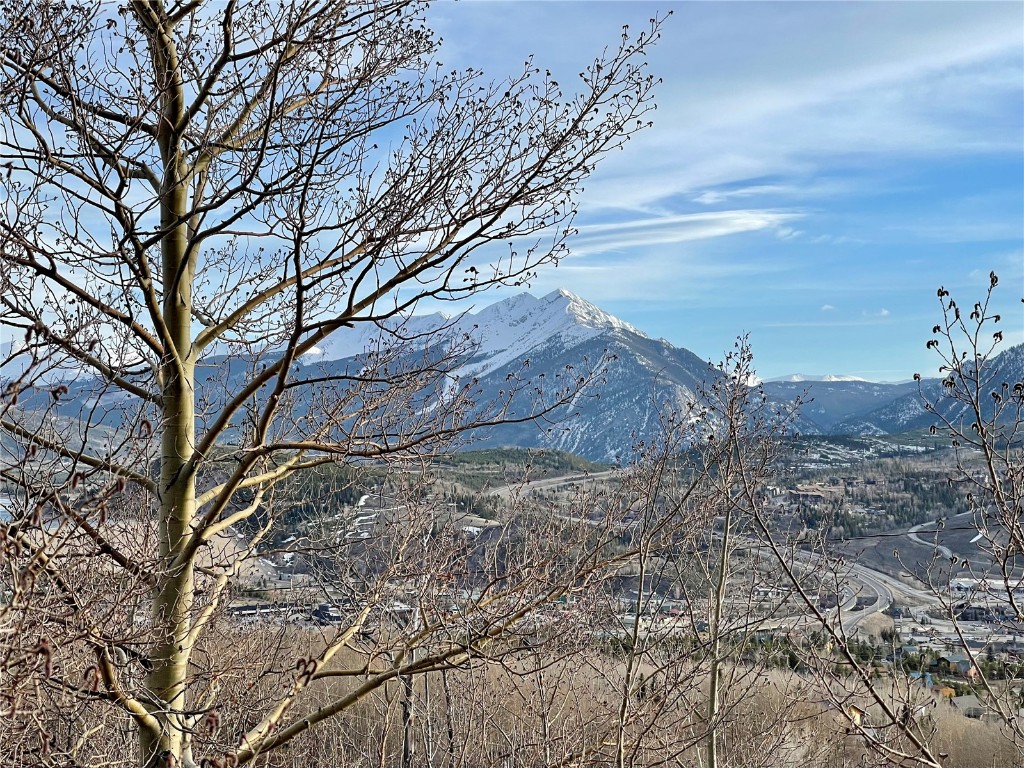 371 Z Road Silverthorne CO 80498