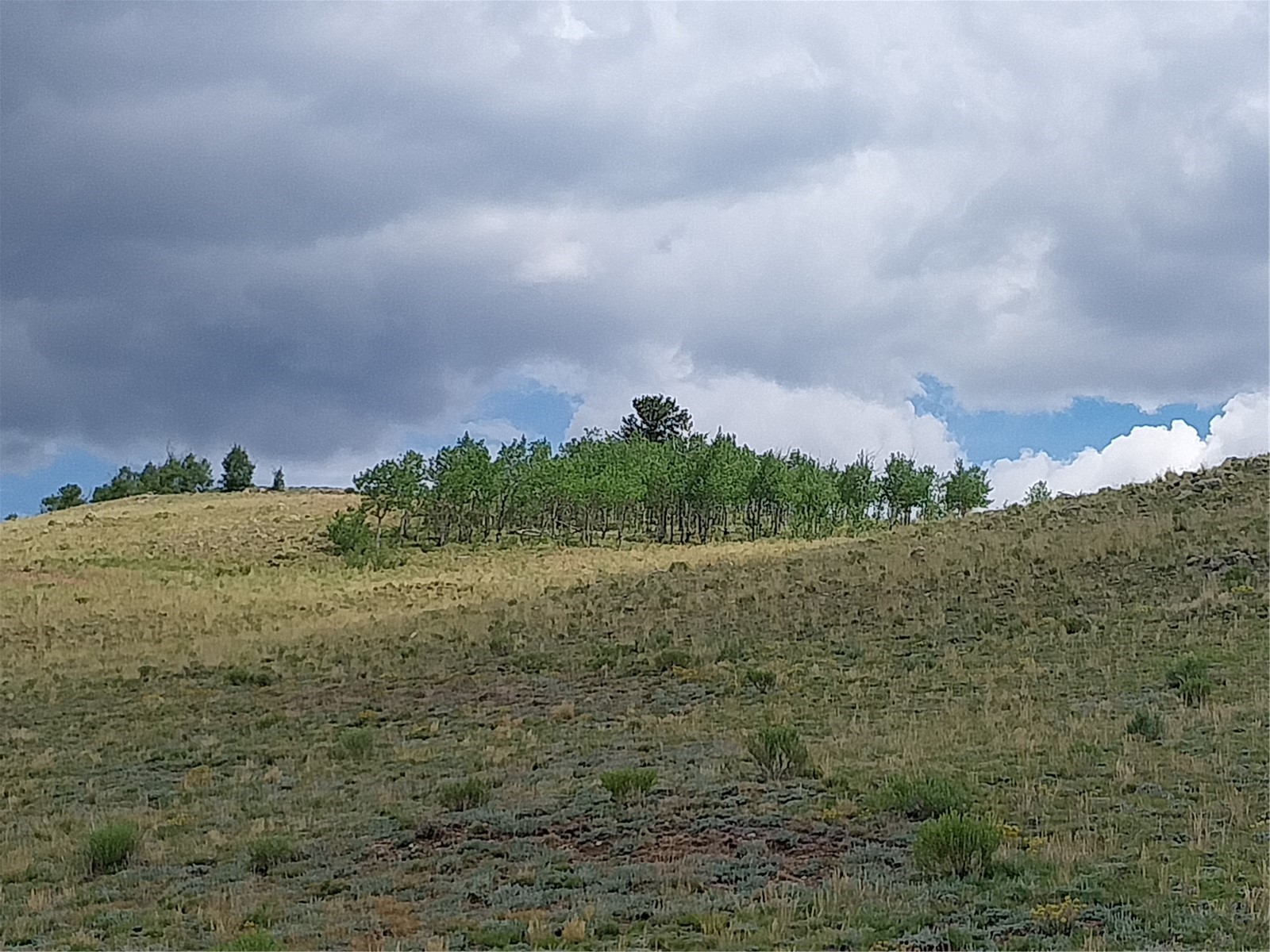 104 Quail Road Como CO 80456