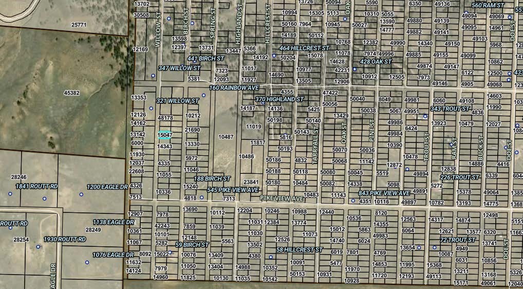 00001 Willow Street Hartsel CO 80449