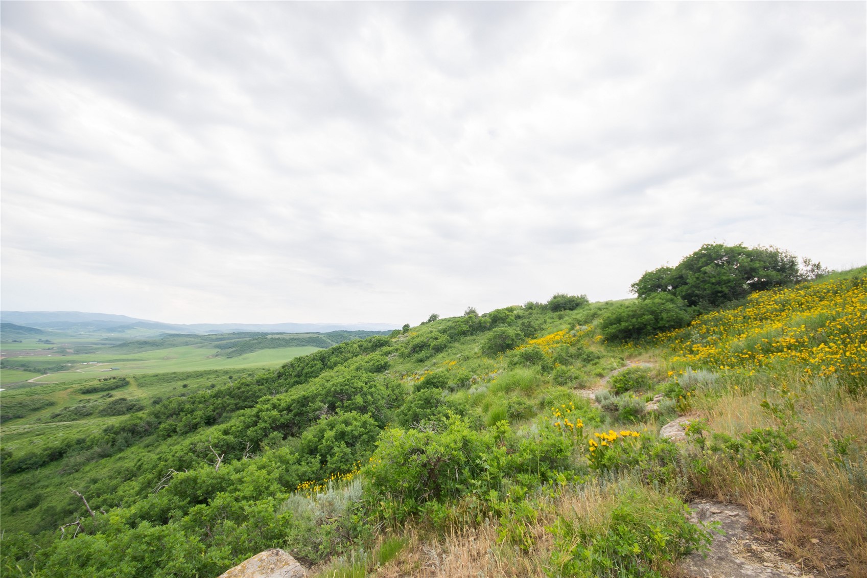 23000 Saddlebow Lane Steamboat Springs CO 80487
