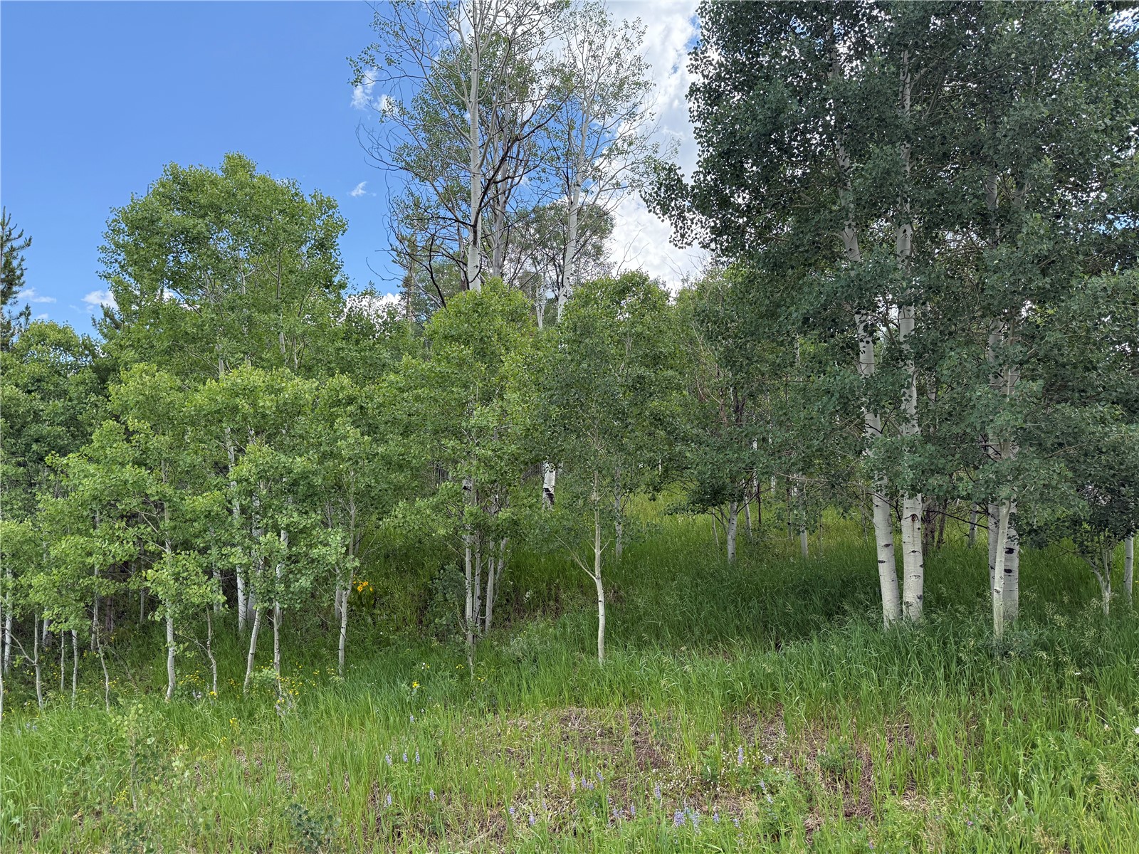 33413 Tewa Way Oak Creek CO 80467
