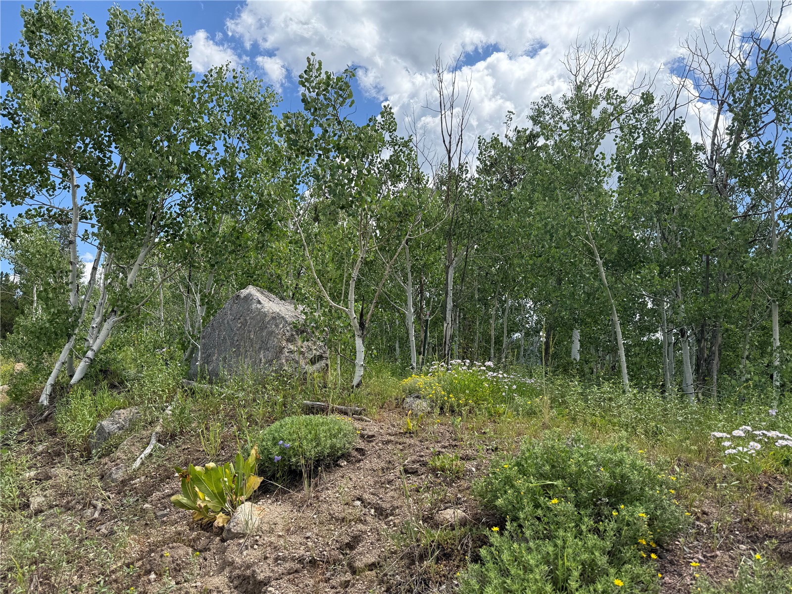 33413 Tewa Way Oak Creek CO 80467