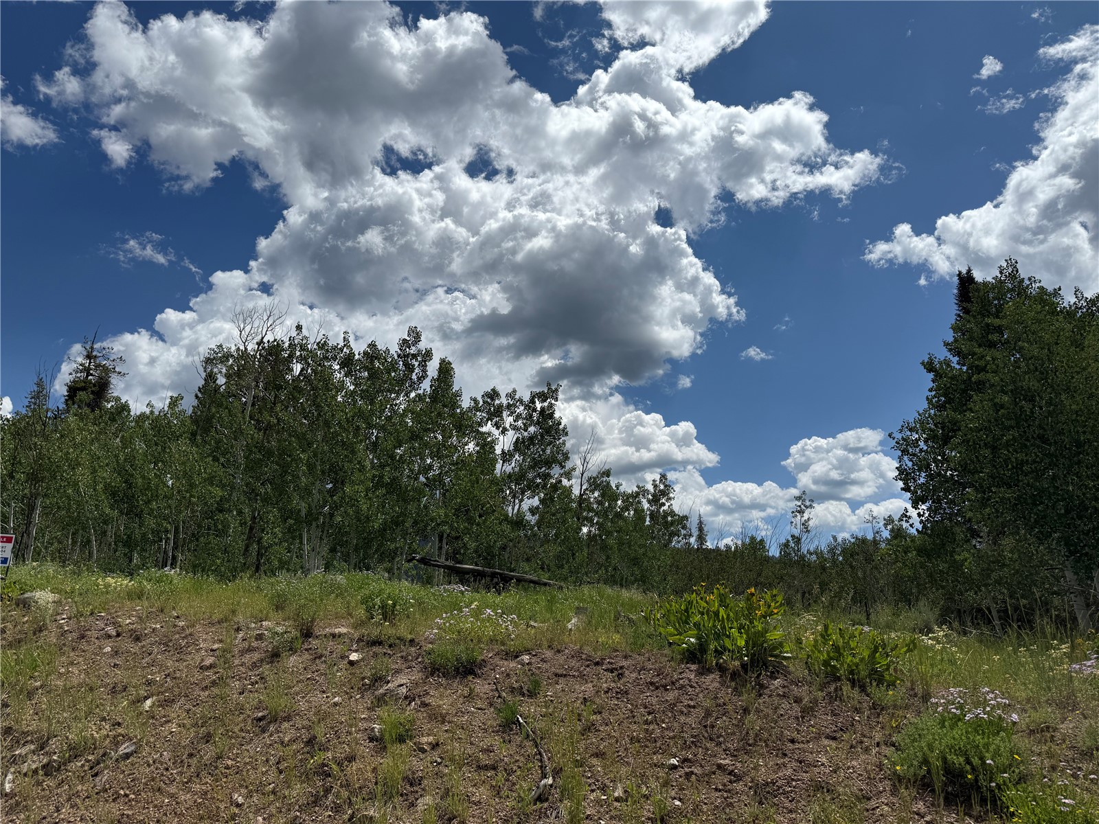33413 Tewa Way Oak Creek CO 80467