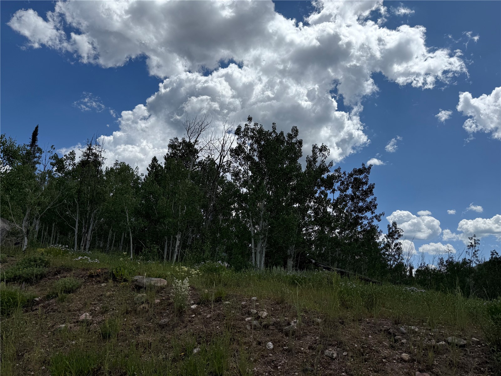 33413 Tewa Way Oak Creek CO 80467