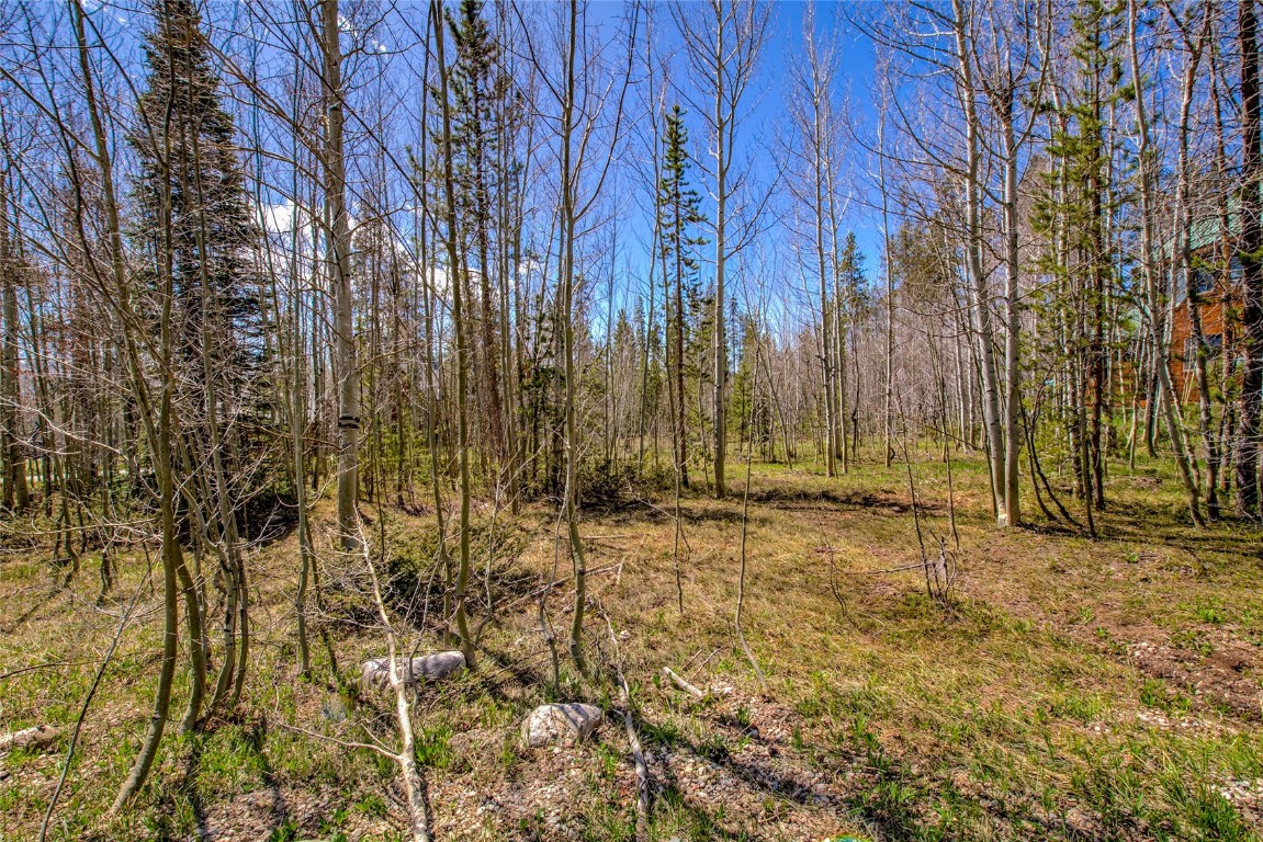 516 Royal Red Bird Drive Silverthorne CO 80498