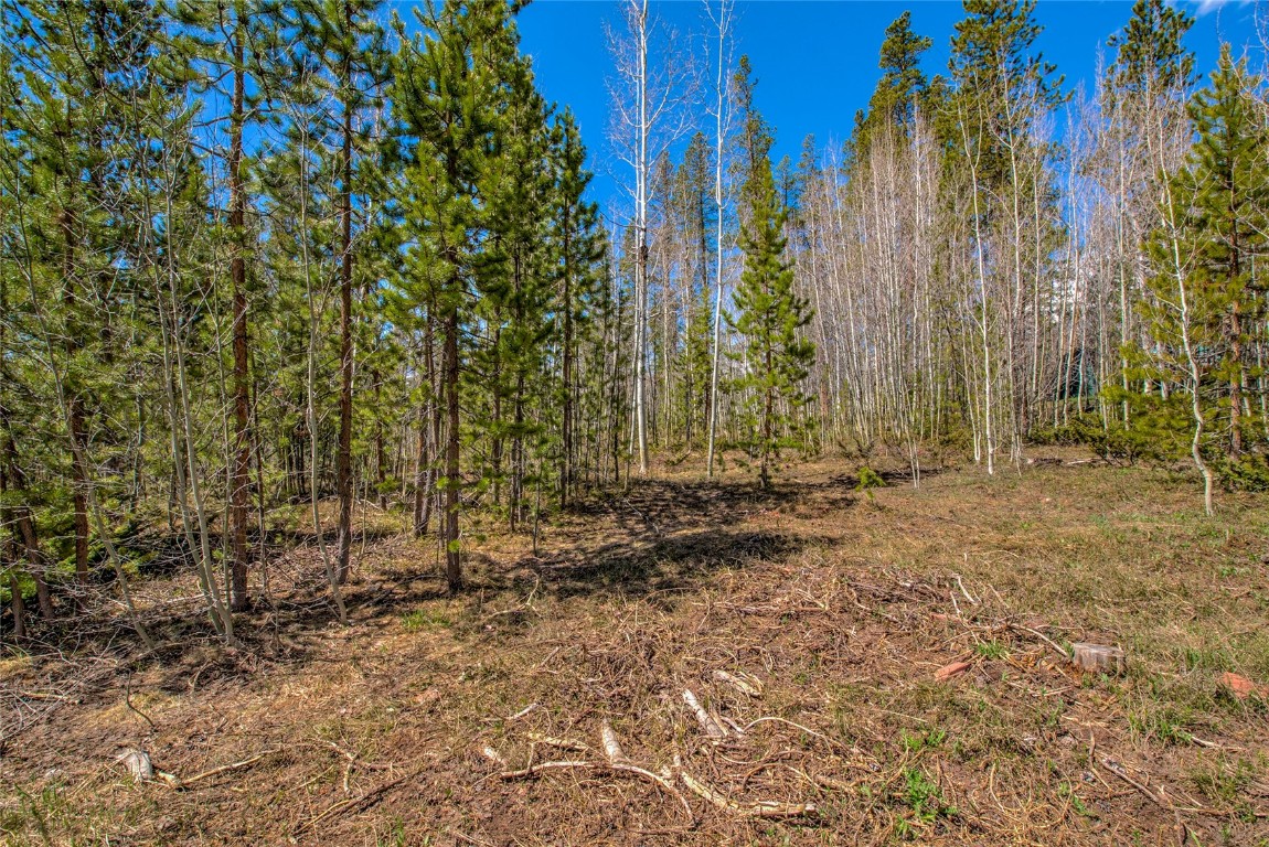 516 Royal Red Bird Drive Silverthorne CO 80498