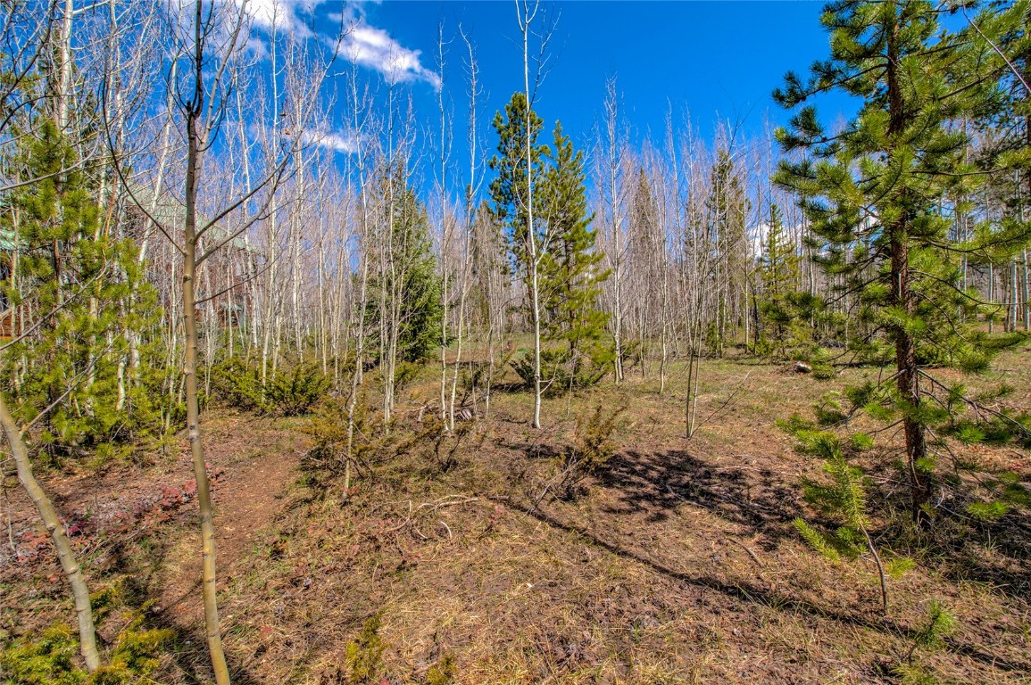516 Royal Red Bird Drive Silverthorne CO 80498