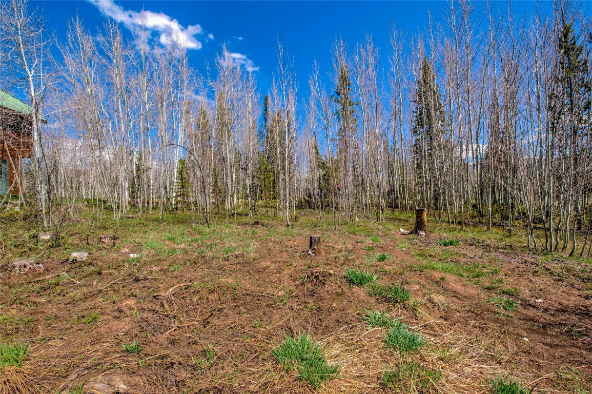 516 Royal Red Bird Drive Silverthorne CO 80498