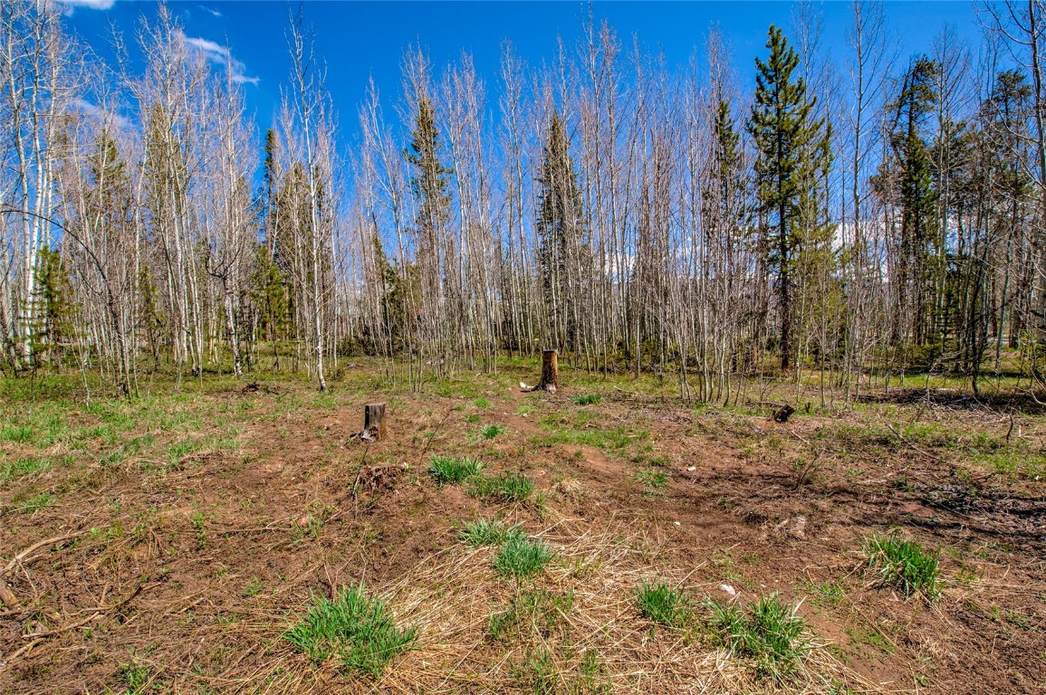 516 Royal Red Bird Drive Silverthorne CO 80498