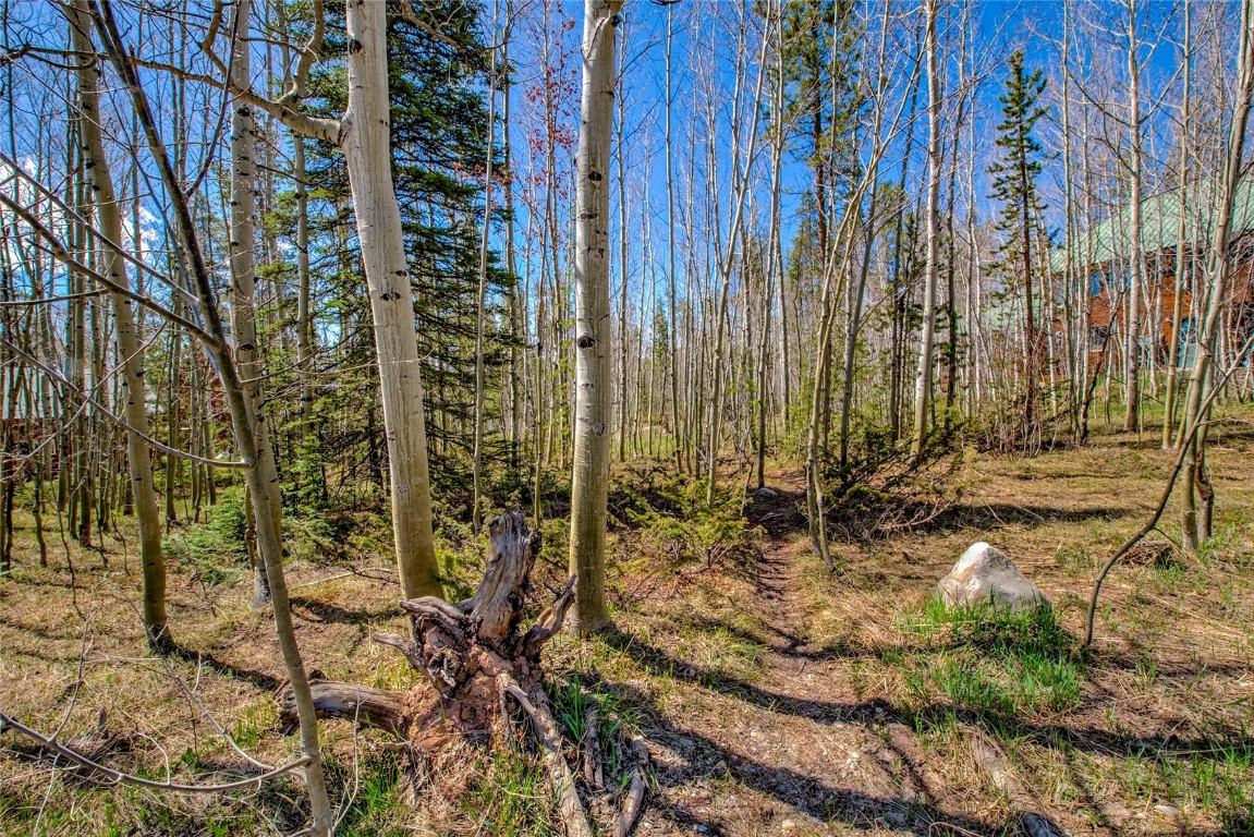 516 Royal Red Bird Drive Silverthorne CO 80498
