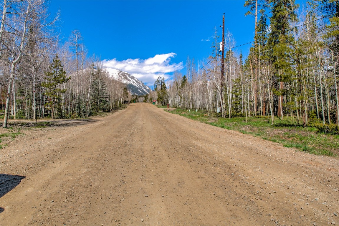 516 Royal Red Bird Drive Silverthorne CO 80498
