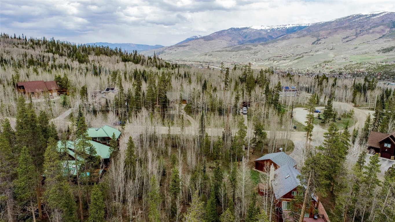 516 Royal Red Bird Drive Silverthorne CO 80498