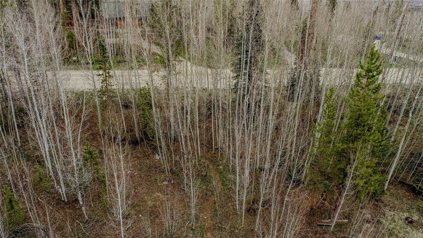 516 Royal Red Bird Drive Silverthorne CO 80498