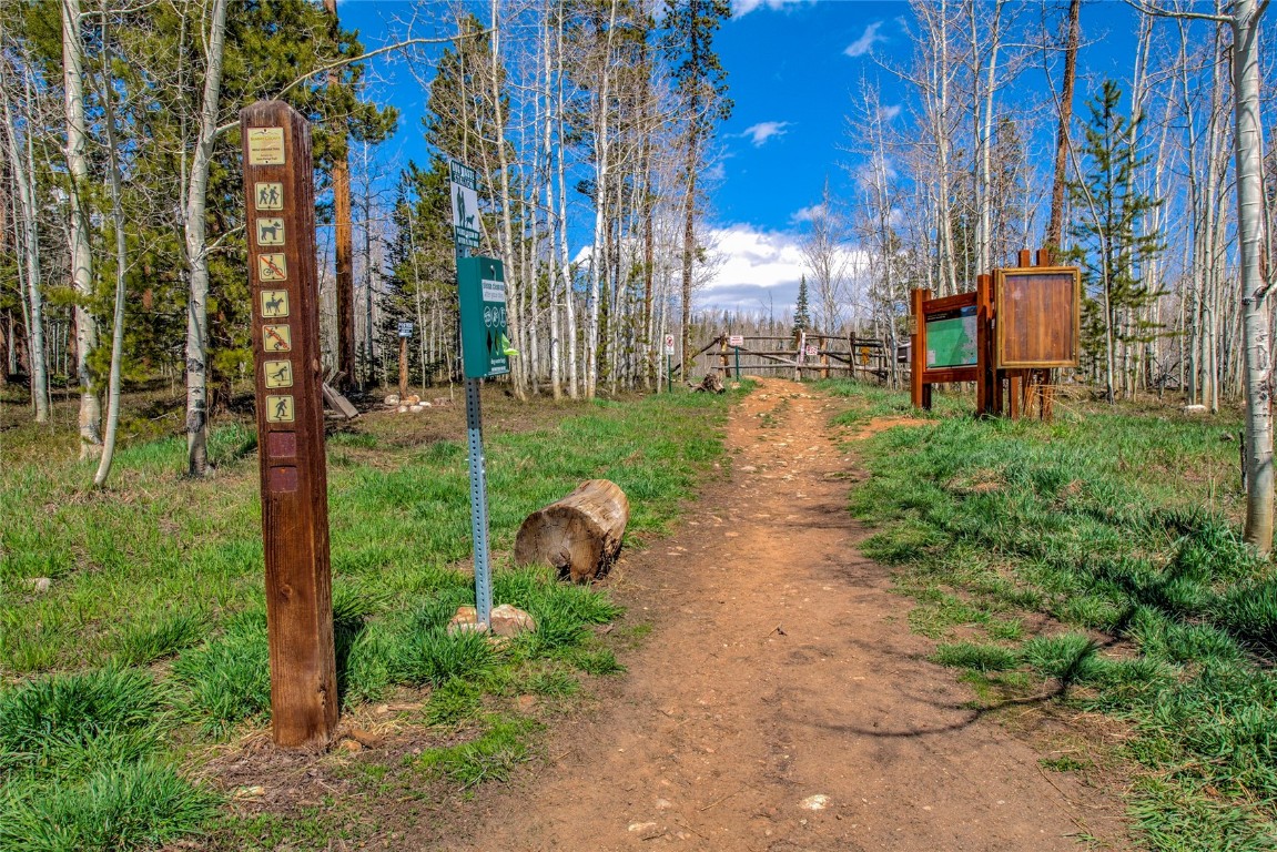 516 Royal Red Bird Drive Silverthorne CO 80498