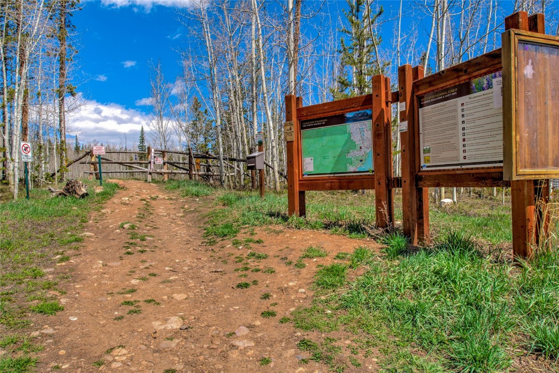 516 Royal Red Bird Drive Silverthorne CO 80498