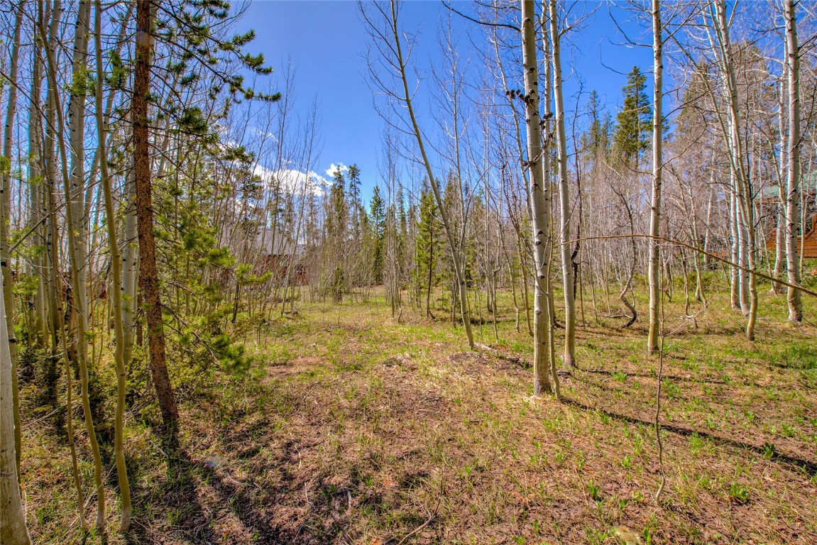 516 Royal Red Bird Drive Silverthorne CO 80498