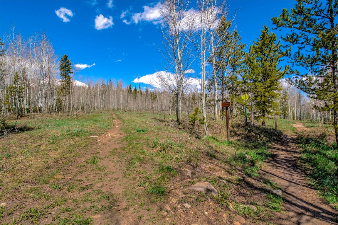 516 Royal Red Bird Drive Silverthorne CO 80498
