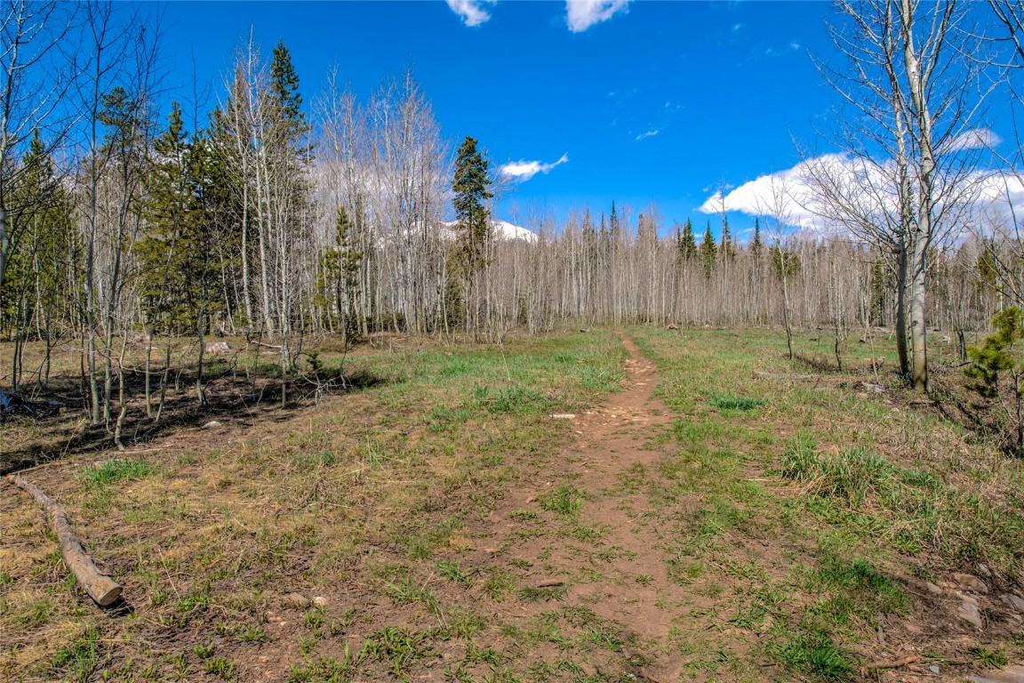 516 Royal Red Bird Drive Silverthorne CO 80498