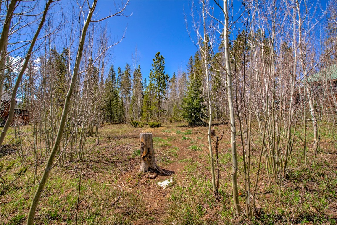 516 Royal Red Bird Drive Silverthorne CO 80498