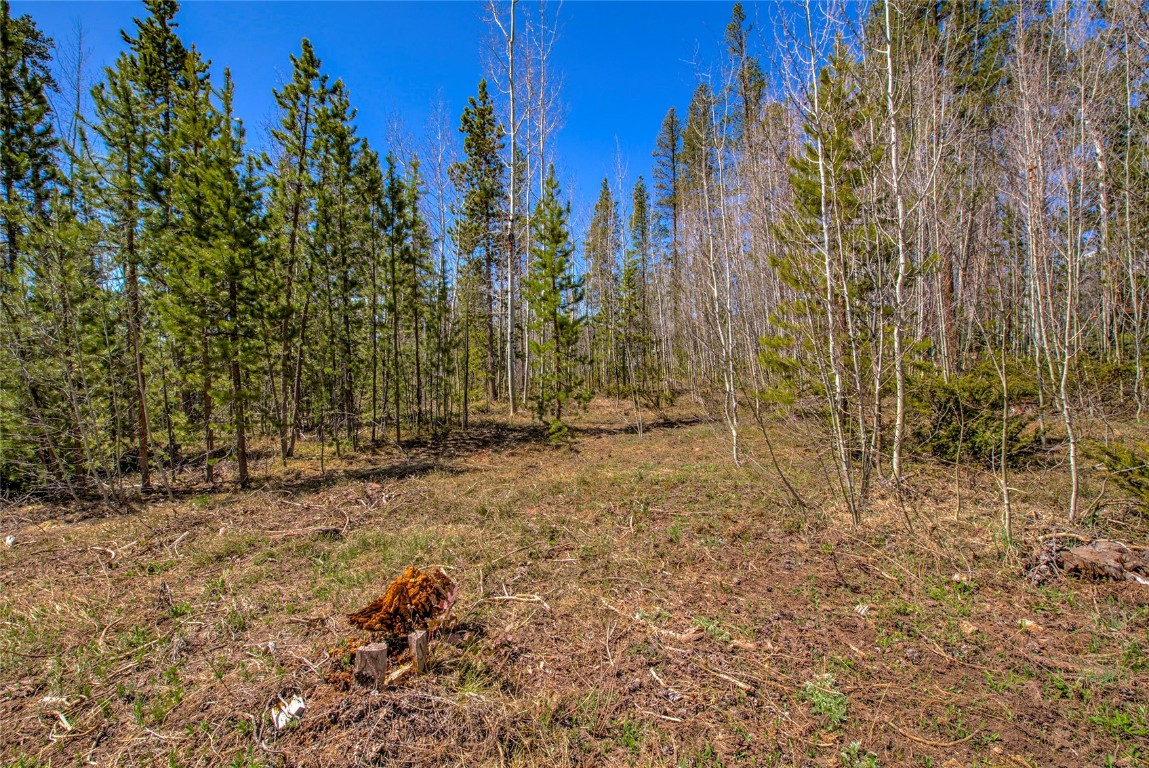 516 Royal Red Bird Drive Silverthorne CO 80498