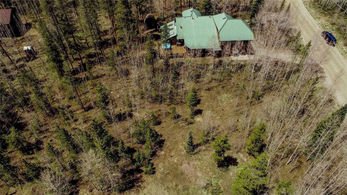 516 Royal Red Bird Drive Silverthorne CO 80498