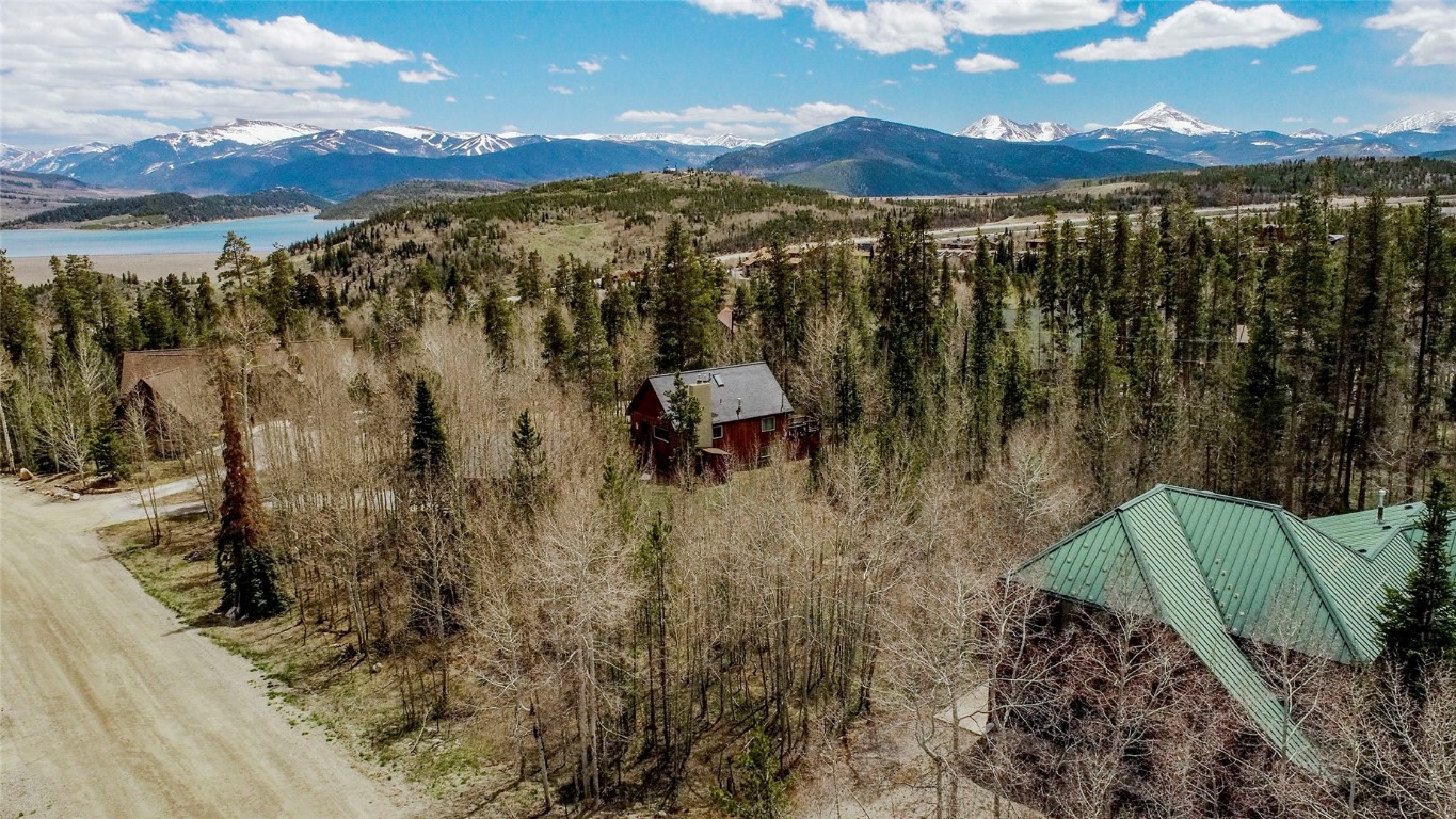 516 Royal Red Bird Drive Silverthorne CO 80498