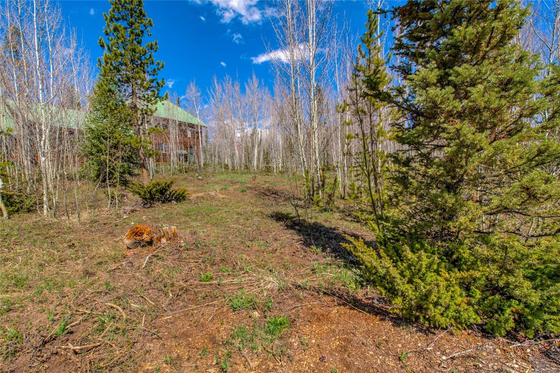 516 Royal Red Bird Drive Silverthorne CO 80498