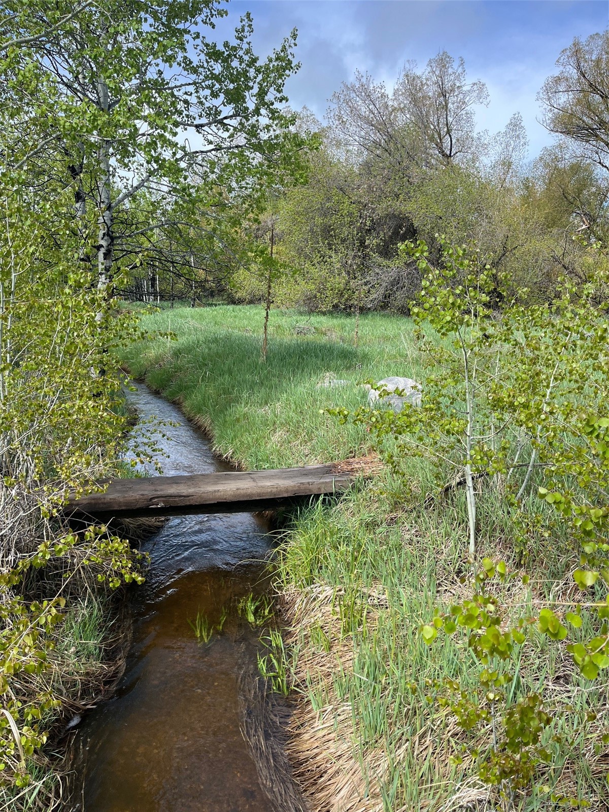 28040 County Road 64 Clark CO 80428