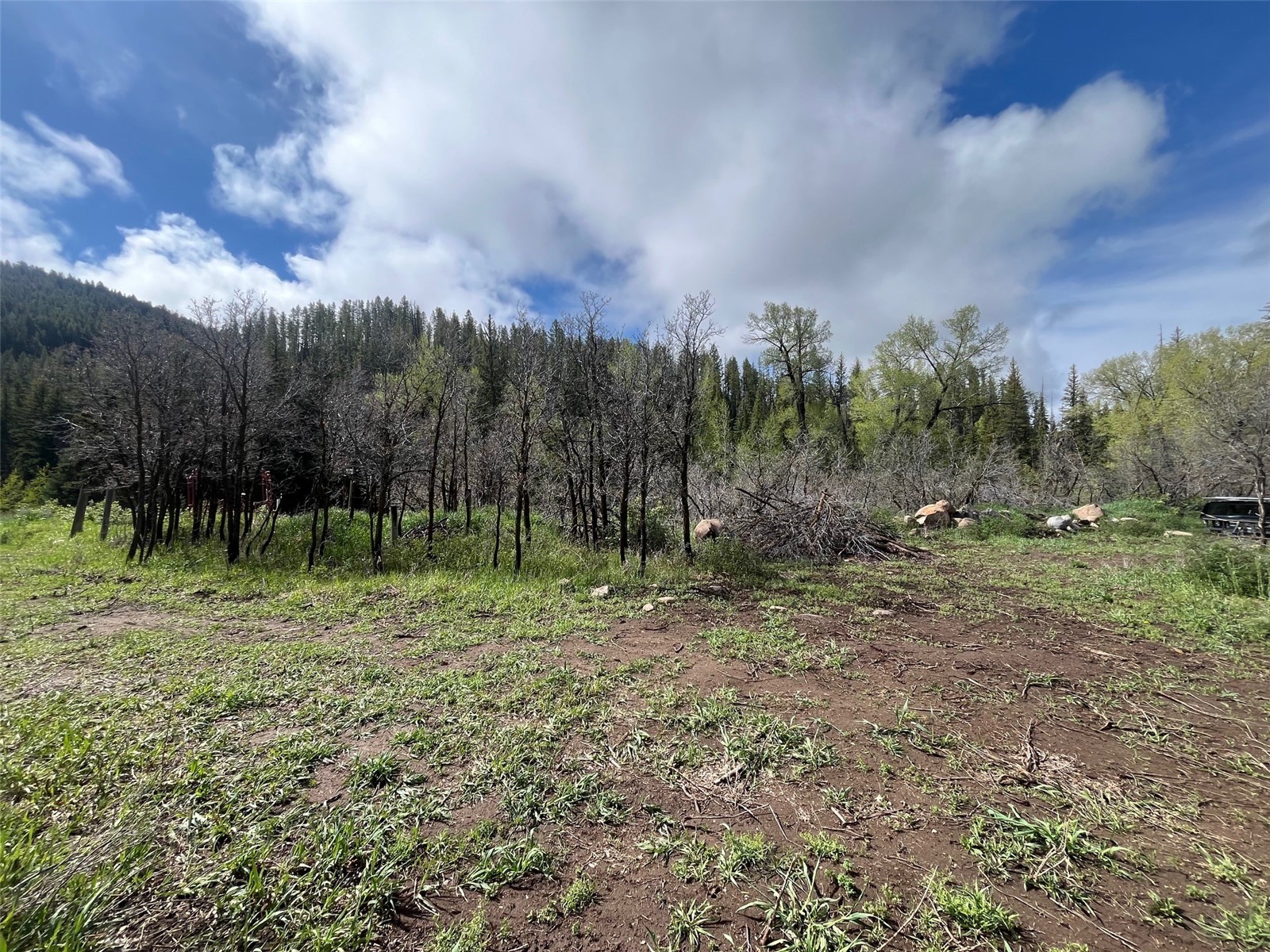 28040 County Road 64 Clark CO 80428