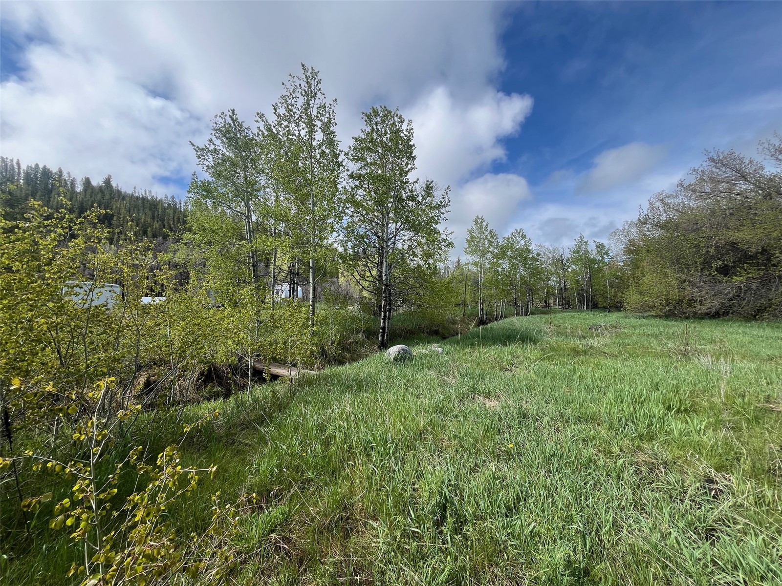 28040 County Road 64 Clark CO 80428