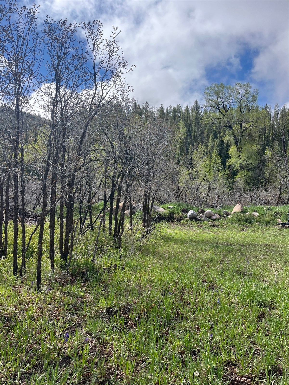 28040 County Road 64 Clark CO 80428
