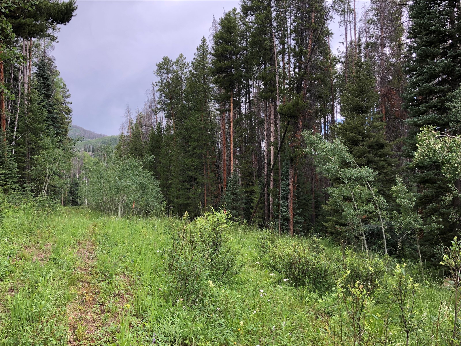 Tbd Springboard Trail Oak Creek CO 80467