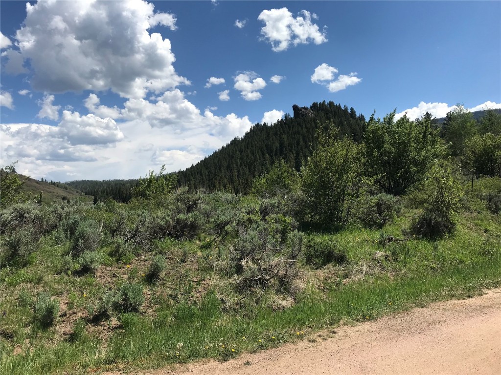 22970 Snowbird Way Oak Creek CO 80467