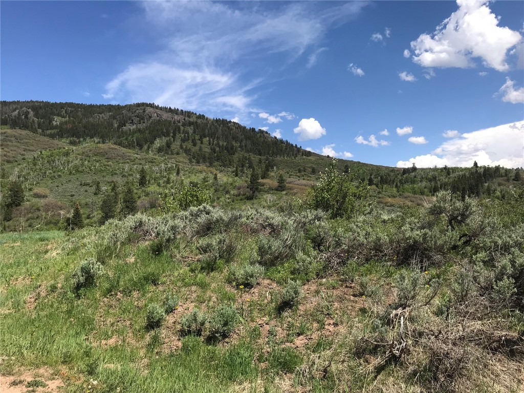 22970 Snowbird Way Oak Creek CO 80467
