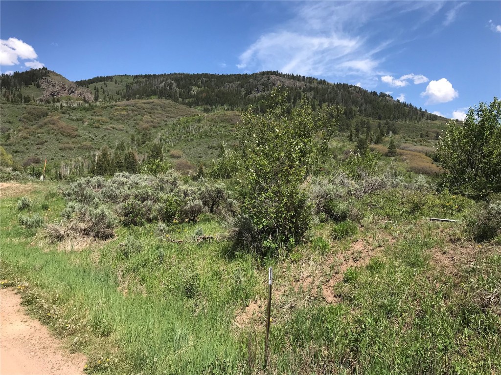 22970 Snowbird Way Oak Creek CO 80467