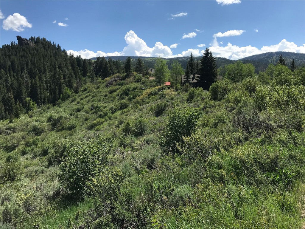 22970 Snowbird Way Oak Creek CO 80467