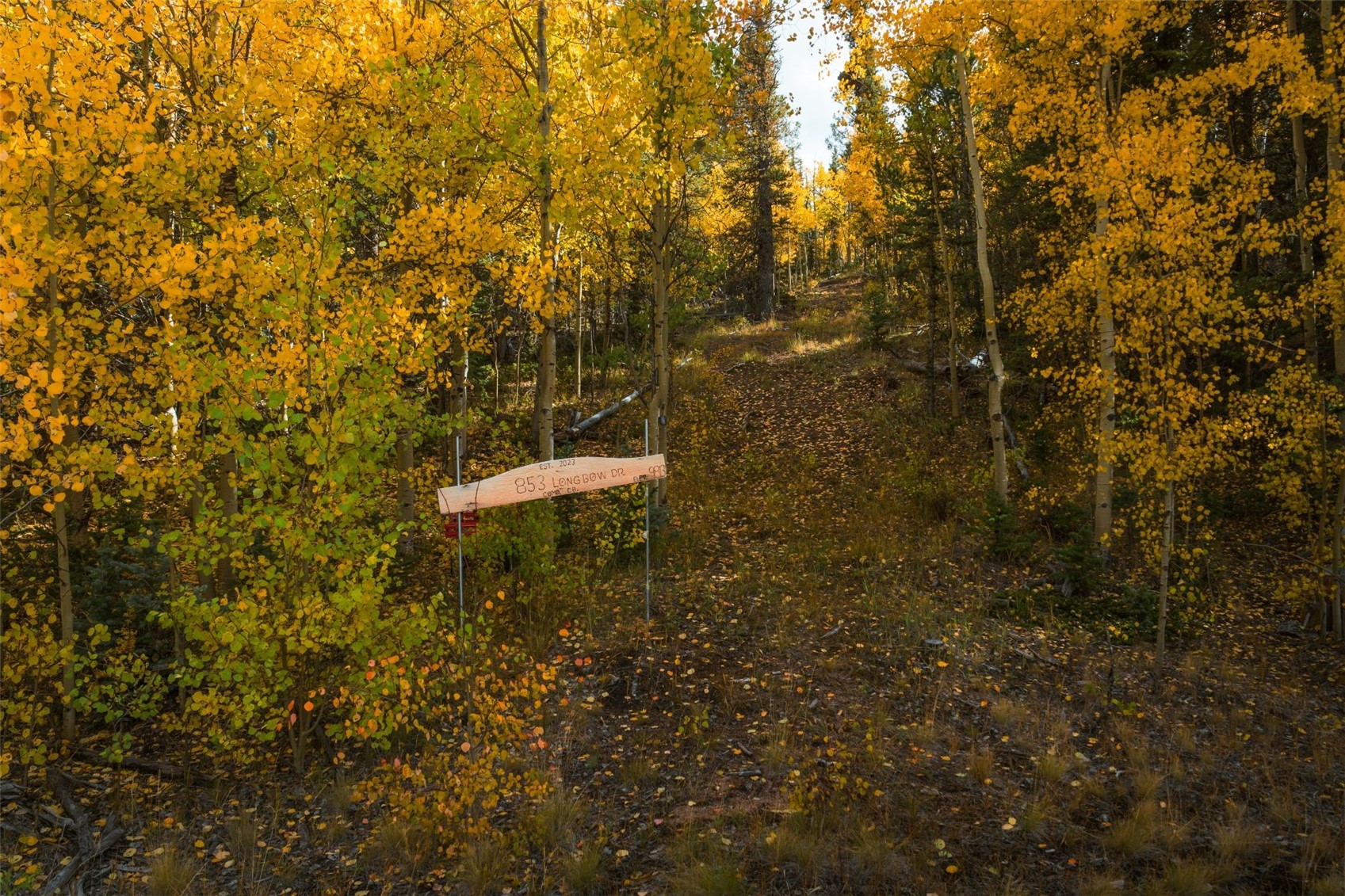 853 W Longbow Drive Como CO 80432