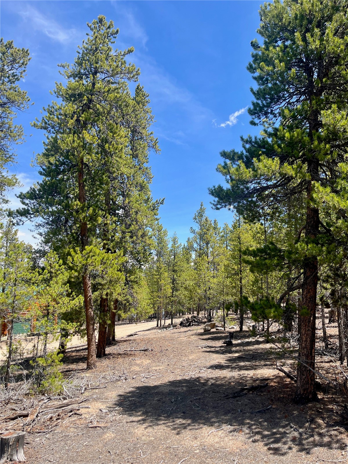 758 Spruce Drive Twin Lakes CO 81251