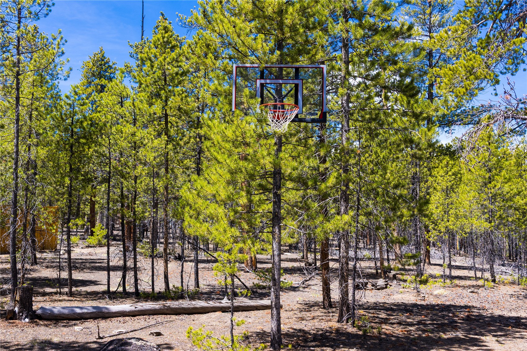 758 Spruce Drive Twin Lakes CO 81251