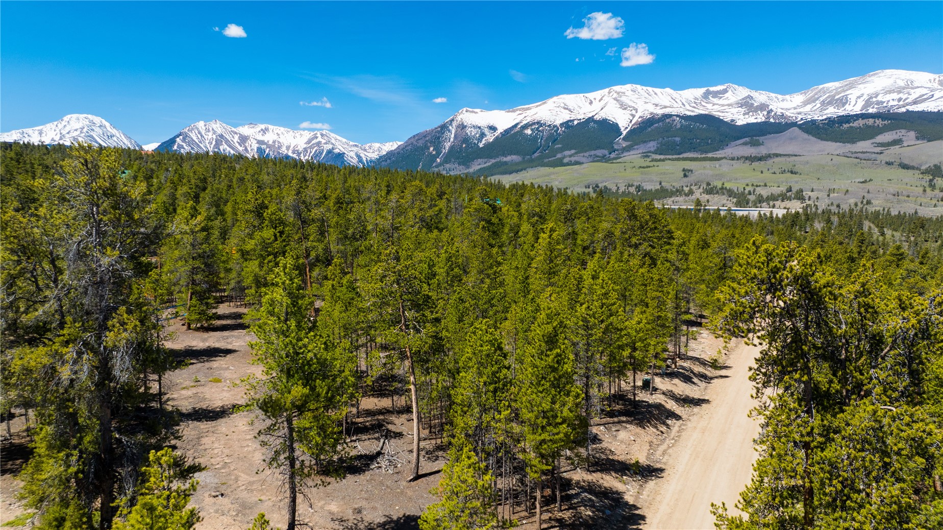 758 Spruce Drive Twin Lakes CO 81251