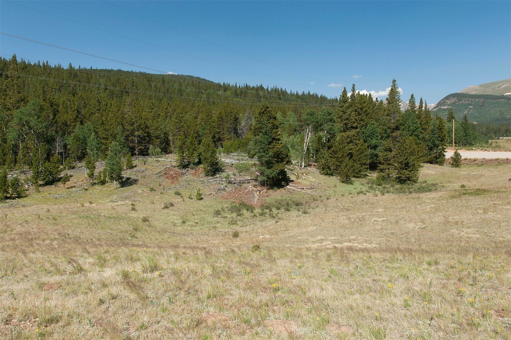 374 High River Court Alma CO 80420