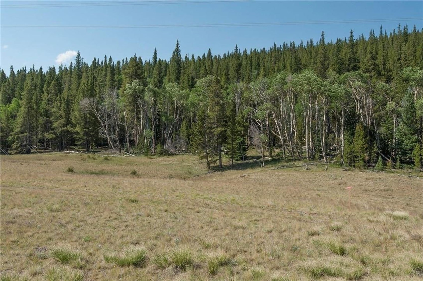374 High River Court Alma CO 80420