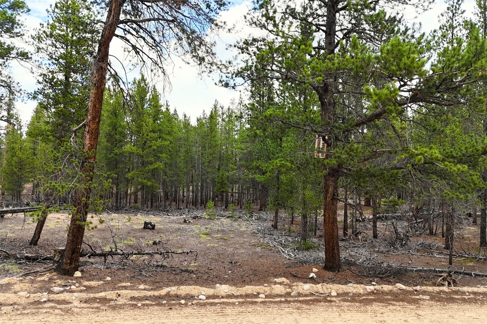 701 Cedar Drive Leadville CO 80461