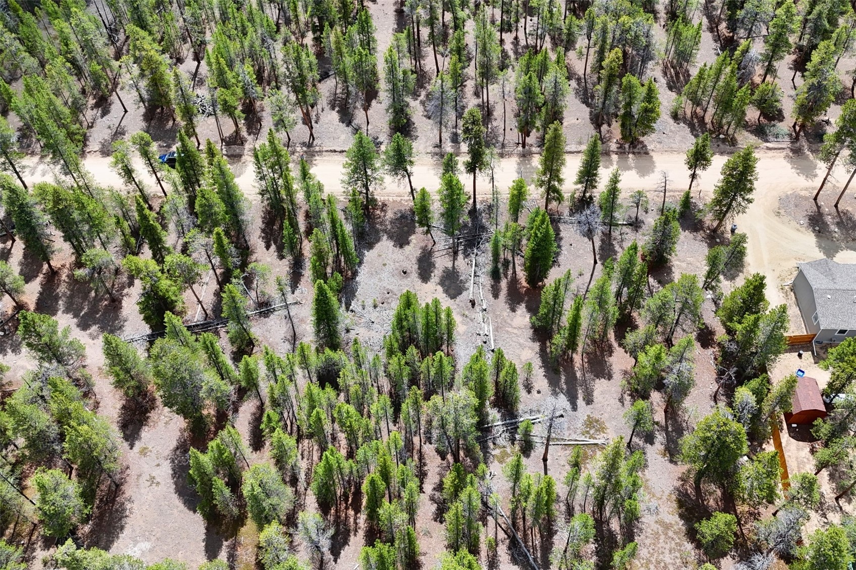 701 Cedar Drive Leadville CO 80461